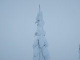 getImage (10)